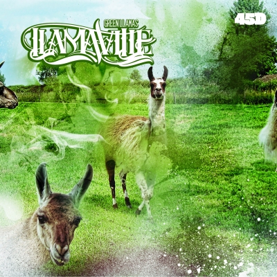 Green Llamas ‘Llamaville’